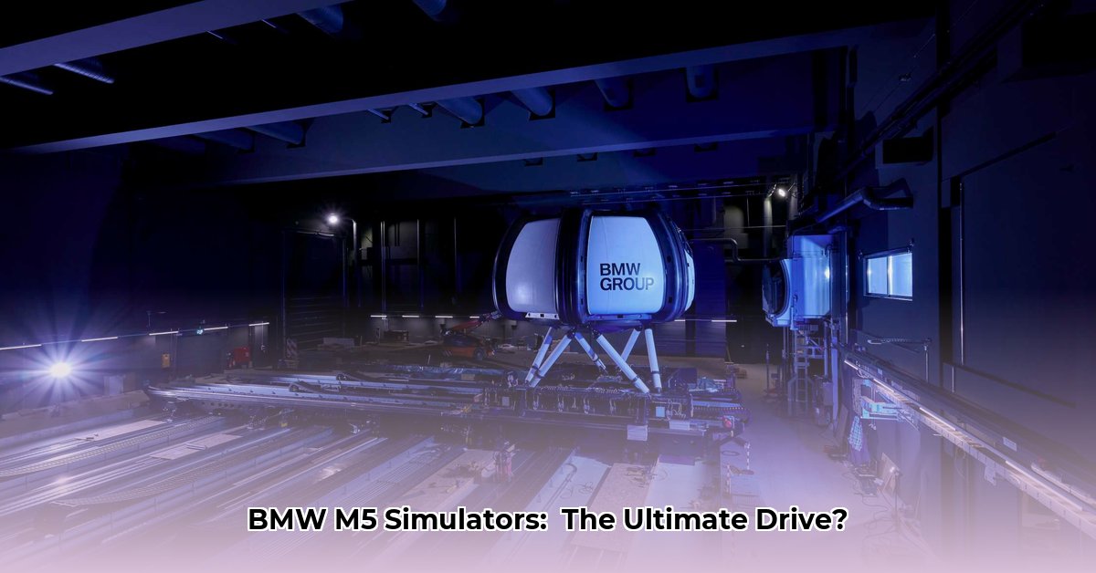 driving-simulator-bmw